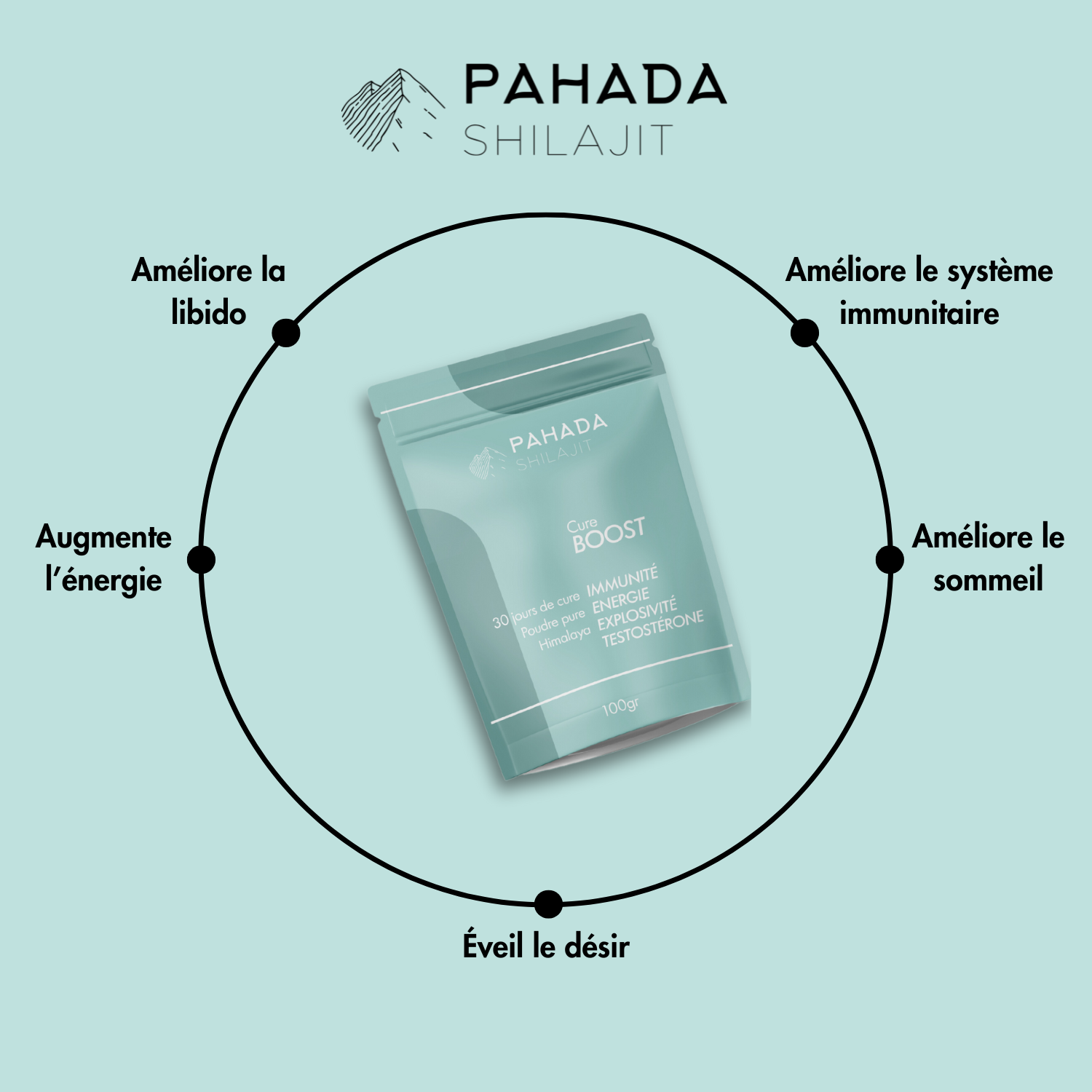 POUDRE DE SHILAJIT PURE - 50Gr