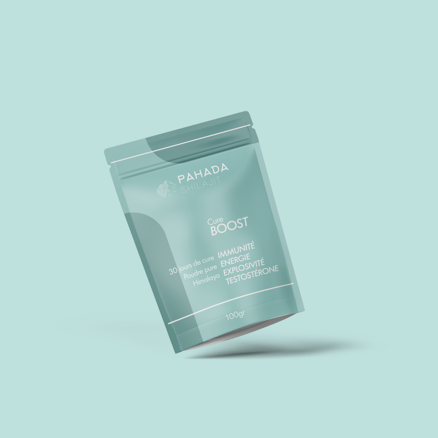 POUDRE DE SHILAJIT PURE - 50Gr